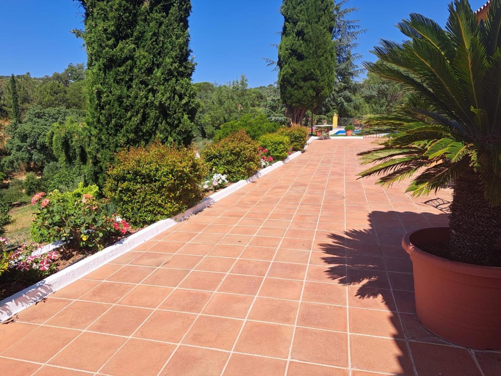 Casa Rural Villa Manuela Cazalla de la Sierra Buitenkant foto